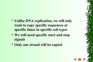  Unlike DNA replication, we will only
want to copy specific sequences at
specific times in specific cell types
 We will need specific start and stop
signals
 Only one strand will be copied
 
