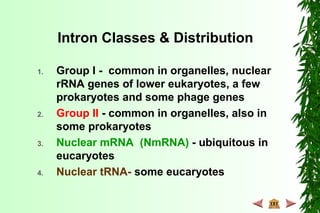 Intron Classes & Distribution
1. Group I - common in organelles, nuclear
rRNA genes of lower eukaryotes, a few
prokaryotes and some phage genes
2. Group II - common in organelles, also in
some prokaryotes
3. Nuclear mRNA (NmRNA) - ubiquitous in
eucaryotes
4. Nuclear tRNA- some eucaryotes
 