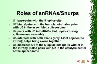 1. U1 base-pairs with the 5’ splice-site
2. U2 binds/pairs with the branch point; also pairs
with U6 in the assembled spliceosome
3. U4 pairs with U6 in SnRNPs, but unpairs during
spliceosome assembly
4. U5 interacts with both exons (only 1-2 nt adjacent to
intron); helps bring exons together
5. U6 displaces U1 at the 5’ splice-site (pairs with nt in
the intron); it also pairs with U2 in the catalytic center
of the spliceosome
Roles of snRNAs/Snurps
 