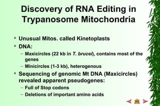 Discovery of RNA Editing in
Trypanosome Mitochondria
 Unusual Mitos. called Kinetoplasts
 DNA:
– Maxicircles (22 kb in T. brucei), contains most of the
genes
– Minicircles (1-3 kb), heterogenous
 Sequencing of genomic Mt DNA (Maxicircles)
revealed apparent pseudogenes:
– Full of Stop codons
– Deletions of important amino acids
 