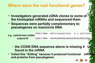 Where were the real functional genes?
 Investigators generated cDNA clones to some of
the kinetoplast mRNAs and sequenced them
 Sequences were partially complementary to
pseudogenes on maxicircle DNA
e.g., cytochrome oxidase
subunit III
– the COXIII DNA sequence above is missing 4 Us
found in the mRNA
 Called this “Editing” because it produced functional mRNAs
and proteins from pseudogenes
 