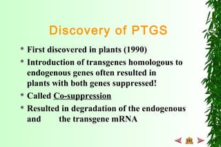 Discovery of PTGS
 First discovered in plants (1990)
 Introduction of transgenes homologous to
endogenous genes often resulted in
plants with both genes suppressed!
 Called Co-suppression
 Resulted in degradation of the endogenous
and the transgene mRNA
 