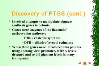 Discovery of PTGS (cont.)
 Involved attempts to manipulate pigment
synthesis genes in petunia
 Genes were enzymes of the flavonoid/
anthocyanins pathway:
–CHS - chalcone synthase
–DFR - dihydroflavonol reductase
 When these genes were introduced into petunia
using a strong viral promoter, mRNA levels
dropped and so did pigment levels in many
transgenics
 