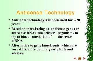 Antisense Technology
 Antisense technology has been used for ~20
years
 Based on introducing an antisense gene (or
antisense RNA) into cells or organisms to
try to block translation of the sense
mRNA.
 Alternative to gene knock-outs, which are
very difficult to do in higher plants and
animals.
 