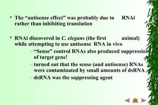  The “antisense effect” was probably due to RNAi
rather than inhibiting translation
 RNAi discovered in C. elegans (the first animal)
while attempting to use antisense RNA in vivo
–“Sense” control RNAs also produced suppression
of target gene!
–turned out that the sense (and antisense) RNAs
were contaminated by small amounts of dsRNA
–dsRNA was the suppressing agent
 
