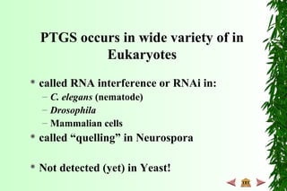 PTGS occurs in wide variety of in
Eukaryotes
 called RNA interference or RNAi in:
– C. elegans (nematode)
– Drosophila
– Mammalian cells
 called “quelling” in Neurospora
 Not detected (yet) in Yeast!
 