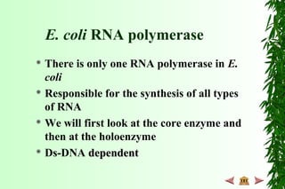  There is only one RNA polymerase in E.
coli
 Responsible for the synthesis of all types
of RNA
 We will first look at the core enzyme and
then at the holoenzyme
 Ds-DNA dependentdependent
E. coli RNA polymerase
 