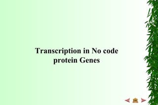 Transcription in No code
protein Genes
 