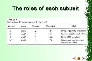 The roles of each subunitThe roles of each subunit
 
