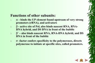 Functions of other subunits:
1. α - binds the UP element found upstream of very strong
promoters (rRNA), and activators
2. β - active site of Pol, also binds nascent RNA, RNA-
DNA hybrid, and DS DNA in front of the bubble
3. β’ – also binds nascent RNA, RNA-DNA hybrid, and DS
DNA in front of the bubble
4. σ -factor confers specificity to the polymerases, directs
polymerase to initiate at specific sites, called promoters.
 