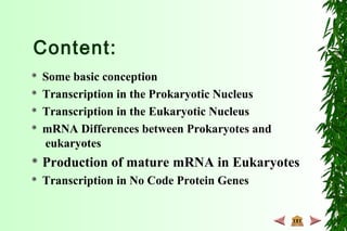 Content:
 Some basic conception
 Transcription in the Prokaryotic Nucleus
 Transcription in the Eukaryotic Nucleus
 mRNA Differences between Prokaryotes and
eukaryotes
 Production of mature mRNA in Eukaryotes
 Transcription in No Code Protein Genes
 