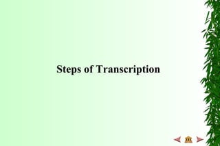Steps of Transcription
 