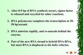 1. After 8-9 bp of RNA synthesis occurs, sigma factor
is released and recycled for other reactions.
2. RNA polymerase completes the transcription at 30-
50 bp/second.
3. DNA untwists rapidly, and re-anneals behind the
enzyme.
4. Part of the new RNA strand is hybrid DNA-RNA,
but most RNA is displaced as the helix reforms.
 