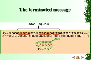The terminated messageThe terminated message
 