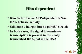 Rho dependentRho dependent
 Rho factor has an ATP-dependent RNA-
DNA helicase activity
 Still have a hairpin but no poly(U) stretch
 In both cases, the signal to terminate
transcription is present in the newly
transcribed RNA, not in the DNA
 