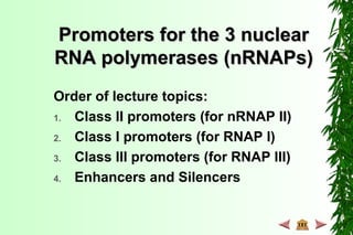 Promoters for the 3 nuclearPromoters for the 3 nuclear
RNA polymerases (nRNAPs)RNA polymerases (nRNAPs)
Order of lecture topics:
1. Class II promoters (for nRNAP II)
2. Class I promoters (for RNAP I)
3. Class III promoters (for RNAP III)
4. Enhancers and Silencers
 
