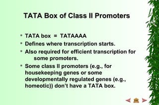 TATA Box of Class II PromotersTATA Box of Class II Promoters
 TATA box = TATAAAA
 Defines where transcription starts.
 Also required for efficient transcription for
some promoters.
 Some class II promoters (e.g., for
housekeeping genes or some
developmentally regulated genes (e.g.,
homeotic)) don’t have a TATA box.
 