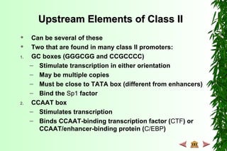 Upstream Elements of Class IIUpstream Elements of Class II
 Can be several of these
 Two that are found in many class II promoters:
1. GC boxes (GGGCGG and CCGCCCC)
– Stimulate transcription in either orientation
– May be multiple copies
– Must be close to TATA box (different from enhancers)
– Bind the Sp1 factor
2. CCAAT box
– Stimulates transcription
– Binds CCAAT-binding transcription factor (CTF) or
CCAAT/enhancer-binding protein (C/EBP)
 