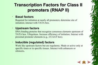 Transcription Factors for Class IITranscription Factors for Class II
promoters (RNAP II)promoters (RNAP II)
• Basal factors
Required for initiation at nearly all promoters; determine site of
initiation; interact with TATA box.
• Upstream factors
DNA binding proteins that recognize consensus elements upstream of
TATA box. Ubiquitous. Increase efficiency of initiation. Interact with
proximal promoter elements (e.g., CCAAT box).
• Inducible (regulated) factors
Work like upstream factors but are regulatory. Made or active only at
specific times or in specific tissues. Interact with enhancers or
silencers.
 