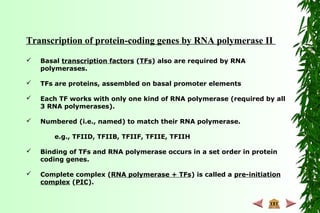 Transcription of protein-coding genes by RNA polymerase II
 Basal transcription factors (TFs) also are required by RNA
polymerases.
 TFs are proteins, assembled on basal promoter elements
 Each TF works with only one kind of RNA polymerase (required by all
3 RNA polymerases).
 Numbered (i.e., named) to match their RNA polymerase.
e.g., TFIID, TFIIB, TFIIF, TFIIE, TFIIH
 Binding of TFs and RNA polymerase occurs in a set order in protein
coding genes.
 Complete complex (RNA polymerase + TFs) is called a pre-initiation
complex (PIC).
 