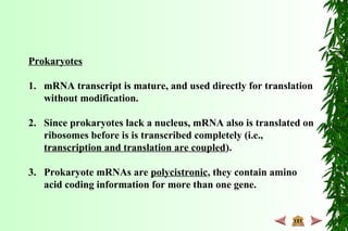Prokaryotes
1. mRNA transcript is mature, and used directly for translation
without modification.
2. Since prokaryotes lack a nucleus, mRNA also is translated on
ribosomes before is is transcribed completely (i.e.,
transcription and translation are coupled).
3. Prokaryote mRNAs are polycistronic, they contain amino
acid coding information for more than one gene.
 