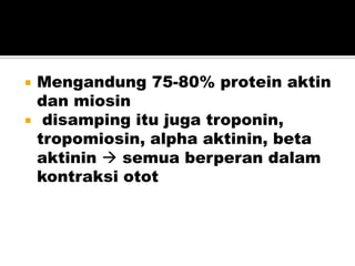  Mengandung 75-80% protein aktin
dan miosin
 disamping itu juga troponin,
tropomiosin, alpha aktinin, beta
aktinin  semua berperan dalam
kontraksi otot
 
