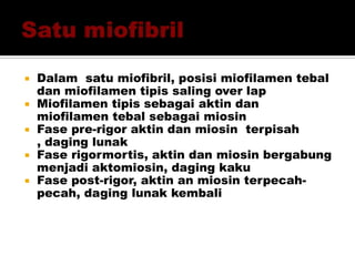  Dalam satu miofibril, posisi miofilamen tebal
dan miofilamen tipis saling over lap
 Miofilamen tipis sebagai aktin dan
miofilamen tebal sebagai miosin
 Fase pre-rigor aktin dan miosin terpisah
, daging lunak
 Fase rigormortis, aktin dan miosin bergabung
menjadi aktomiosin, daging kaku
 Fase post-rigor, aktin an miosin terpecah-
pecah, daging lunak kembali
 
