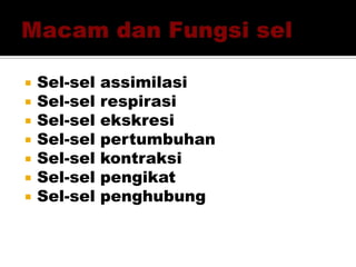  Sel-sel assimilasi
 Sel-sel respirasi
 Sel-sel ekskresi
 Sel-sel pertumbuhan
 Sel-sel kontraksi
 Sel-sel pengikat
 Sel-sel penghubung
 