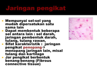  Mempunyai sel-sel yang
mudah dipersatukan satu
sama lain
 Dapat membentuk beberapa
sel antara lain : sel darah,
jaringan pembentuk darah,
tulang, tulang rawan.
 Sifat karakteristik : jaringan
pengikat penopang
menopang jaringan lain, misal
tulang dan kartilago
 Jar pengikat berbentuk
benang-benang (Fibrous
connective tissue)
 
