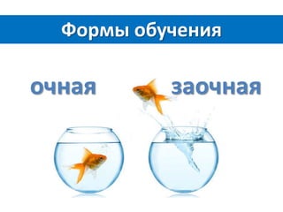 Формы обучения

очная

заочная

 