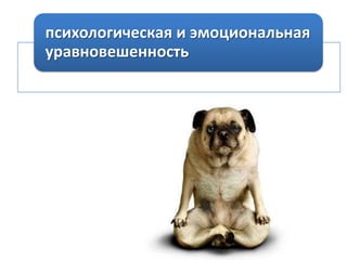 психологическая и эмоциональная
уравновешенность

 