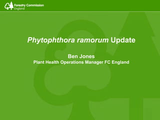 Phytophthora ramorum Update
Ben Jones
Plant Health Operations Manager FC England
 