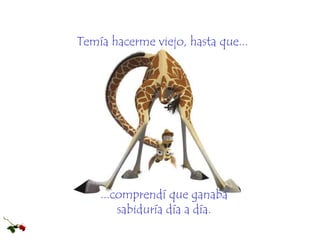 ...comprendí que ganaba
sabiduría día a día.
Temía hacerme viejo, hasta que...
 