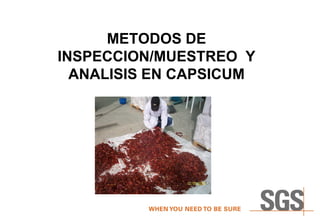 METODOS DE
INSPECCION/MUESTREO Y
ANALISIS EN CAPSICUM
 