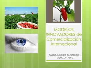 MODELOS
INNOVADORES de
Comercialización
Internacional
Oportunidades comerciales
MEXICO - PERU
 