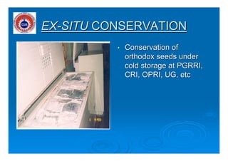 EXEX--SITUSITU CONSERVATIONCONSERVATION
•• Conservation ofConservation of
orthodox seeds underorthodox seeds under
cold st...