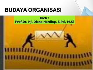 BUDAYA ORGANISASI
Oleh :
Prof.Dr. Hj. Diana Harding, S.Psi, M.Si
 