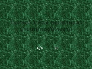 6/4 28