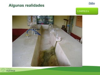 Algunas realidades
LIMPIEZA
 