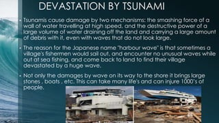 Japanese village tsunami