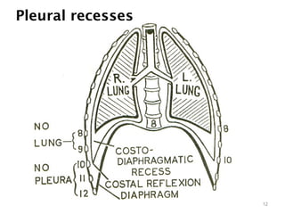 Pleural recesses
12
 