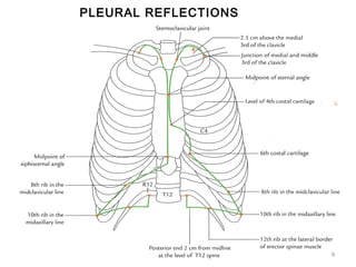 PLEURAL REFLECTIONS
9
 