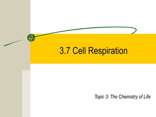 3.7 Cell Respiration
Topic 3: The Chemistry of Life
 