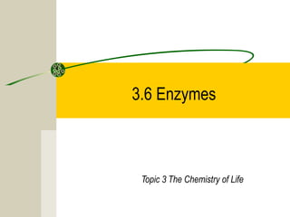 3.6 Enzymes
Topic 3 The Chemistry of Life
 