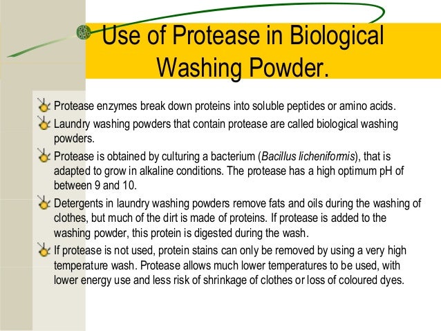 enzymes in washing powder