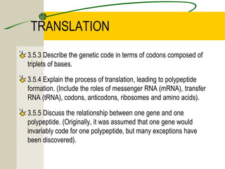 3.5 transcription & translation | PPT