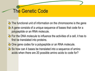 3.5 transcription & translation | PPT