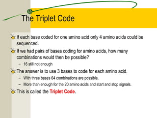 Triplets Code 3.5 transcription & translation | PPT