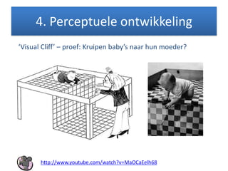 4. Perceptuele ontwikkeling
‘Visual Cliff’ – proef: Kruipen baby’s naar hun moeder?
http://www.youtube.com/watch?v=MaOCaEelh68
 