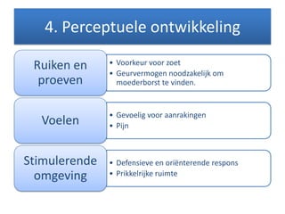 4. Perceptuele ontwikkeling
• Voorkeur voor zoet
• Geurvermogen noodzakelijk om
moederborst te vinden.
Ruiken en
proeven
• Gevoelig voor aanrakingen
• PijnVoelen
• Defensieve en oriënterende respons
• Prikkelrijke ruimte
Stimulerende
omgeving
 